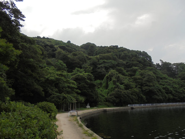 湊山公園岸辺の遊歩道