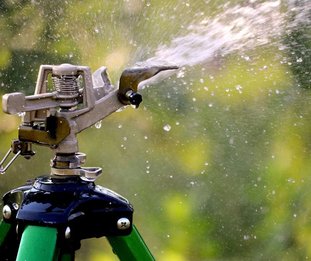 Beautiful landscapes add value to commercial and residential spaces. An efficient lawn irrigation system is key. There are many firms that offer lawn irrigation services. However, finding the professionals best suited to your needs can be a challenge. You cannot just close your eyes and hire the first contractor that appears on your Google search results, can you? How to go about it then? We have some tips to help you. Keep reading to learn more!  Beware of Online Reviews   Take your time to find top-notch irrigation service providers near you. Do not blindly trust online reviews. Conduct a thorough research and shortlist at least 3 contractors to interview. Try to get first-hand experience information from your friends, family or acquaintances.   Interviewing Shortlisted Contractors  When interviewing lawn irrigation service providers, gather as much information as you can with regards to the following:  ExperienceQualifications, licensing and certificationNature of workComplexities handledInsuranceReferences  Also, during the course of the interview, remember to ask about the charges, estimated timelines, payment terms, response expectations and so on.  Written Contract   A written contract is a must. Make sure that everything, all terms and conditions, including payment terms, is noted. Double check to confirm there are no hidden costs. Do not encourage any work to start or make any payment until everything is on paper.  Burkholder Brothers designs, builds, and maintains fine landscapes in Main Line, Delaware Valley and the Malvern area. Established in 1992, Burkholder is family owned and operated. They are thoroughly professional and trustworthy and have a knowledgeable staff to help and guide you, so you get the best results. Their group of experienced and talented carpenters, masons, electricians, horticulturists, and contractors follows the highest quality standards to ensure your project is completed properly. To learn more about their lawn irrigation services, contact them.