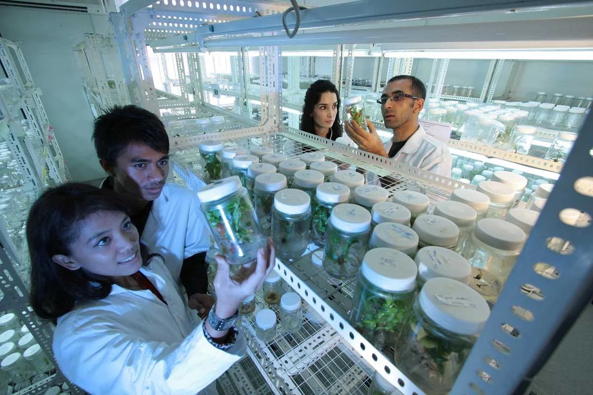csir labs for biotechnology