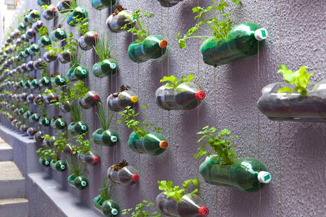 Creative DIY Gardening Ideas With Recycled Items