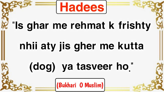 Short Islamic Hadees