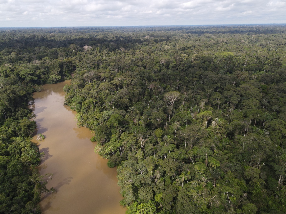  Yasuní ITT: un dilema ambiental en Ecuador
