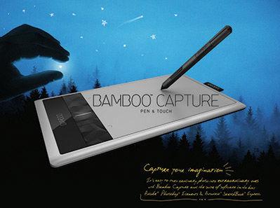 Bamboo Capture5