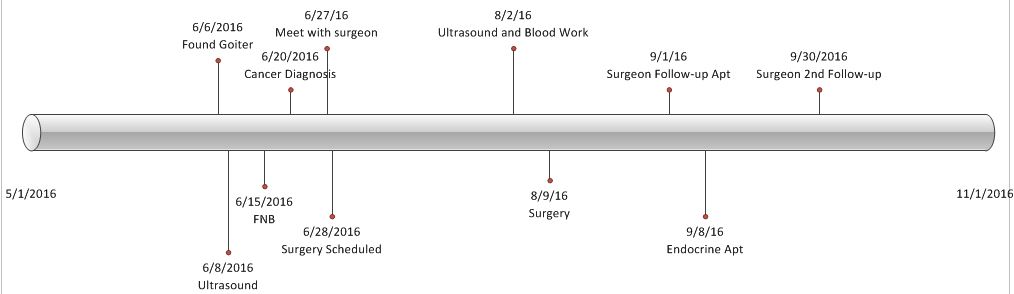 Timeline