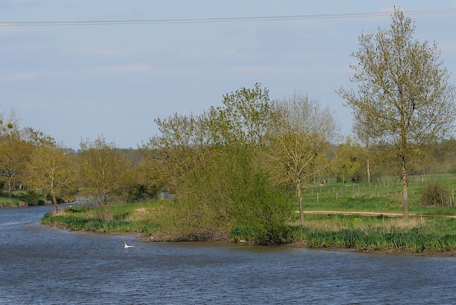 La belle Anguille, chemin de halage au bord de la Vilaine