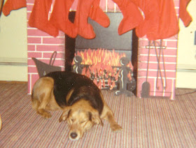 dog sleeping by Christmas fireplace