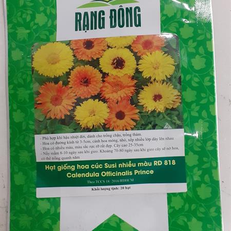 Hạt giống Hoa cúc Susi