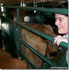 insemin-vacas-12