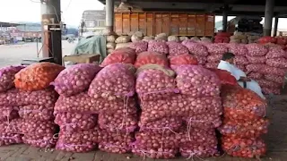 Onion