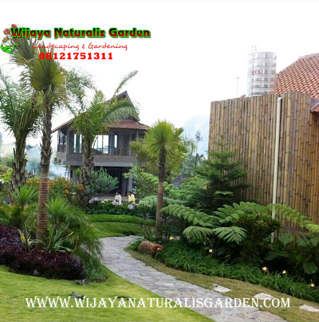 Tukang Taman Surabaya Garden Center,Tukang Taman Surabaya,Tukang Taman Surabaya Murah,Tukang Taman Surabaya Barat,Tukang Taman Kota Surabaya ,Harga Tukang Taman Surabaya ,Tukang Taman Murah di Surabaya,Tukang Buat Taman di Surabaya,Tukang Taman Surabaya Wijaya Naturalis,Tukang Taman Surabaya Murah,Tukang Taman Surabaya Terbaik,Tukang Pembuatan Taman Surabaya,Jasa Tukang Taman Surabaya,Tukang Taman di Surabaya,Tukang pembuatan Taman di Surabaya