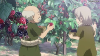 ドクターストーン アニメ 3期2話 | Dr. STONE Season 3 Episode 2