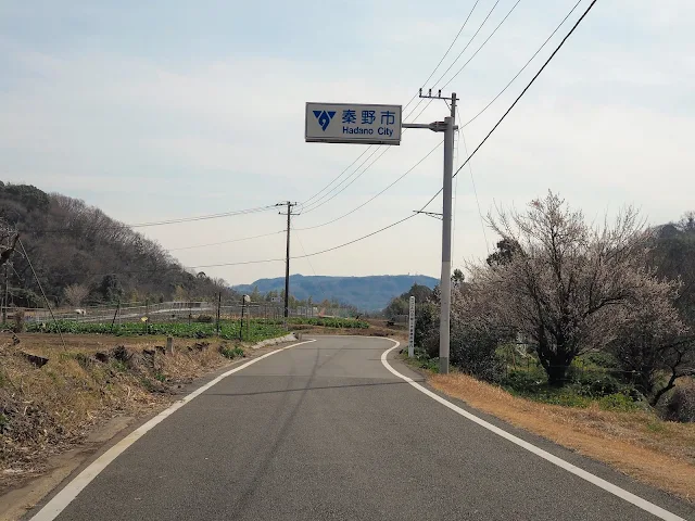 秦野