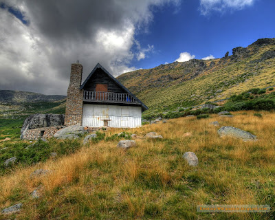 imagini in padure casa de vacanta