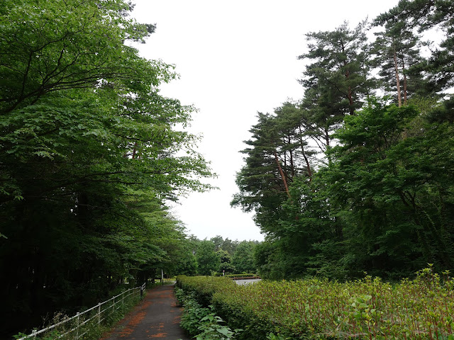 鳥取県西伯郡伯耆町丸山　Royal Hotel 大山　連絡道路