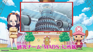 ワンピース アニメ エッグヘッド編 1091話 チョッパーのもっと知りてェぞコノヤロー！ベガパンク ONE PIECE Episode 1091