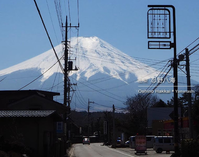富士山と清流が美しい！忍野八海