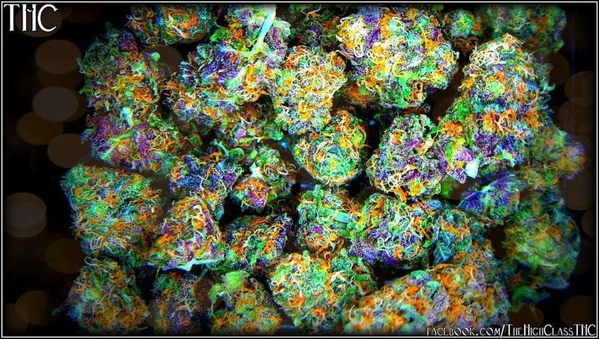 Weed Is Awesome: Weed Strains