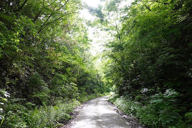 鳥取県西伯郡大山町赤松