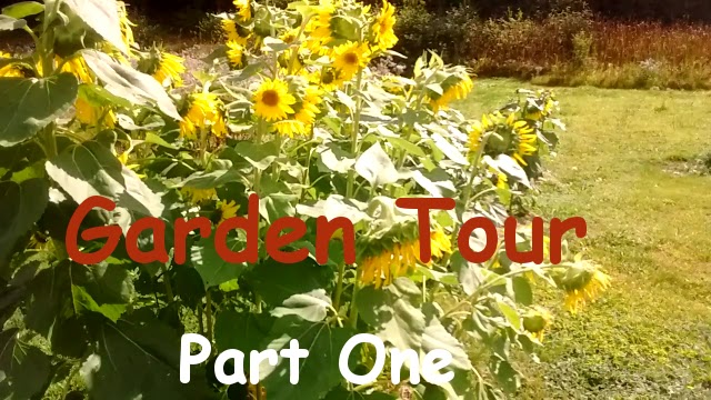 Garden tour part 1