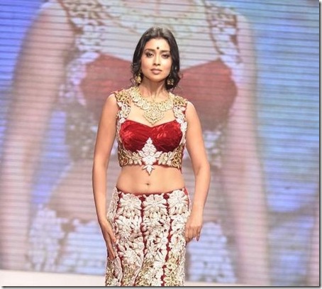 Shriya-Swarovski-Gems-1