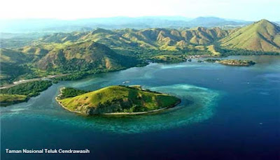 Taman Nasional Teluk Cendrawasih, Papua