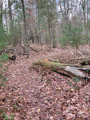 Image of Burgess Trail in December