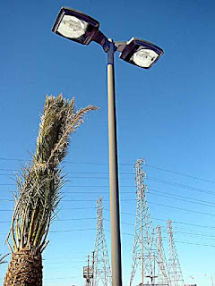 California Skylights - with palms and pylons (c) David Ocker