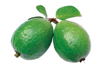 Guava