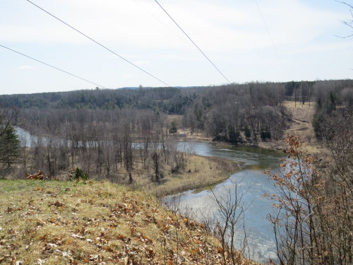 Manistee River from power line cut