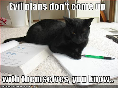 funny-pictures-cat-makes-evil-plans.jpg