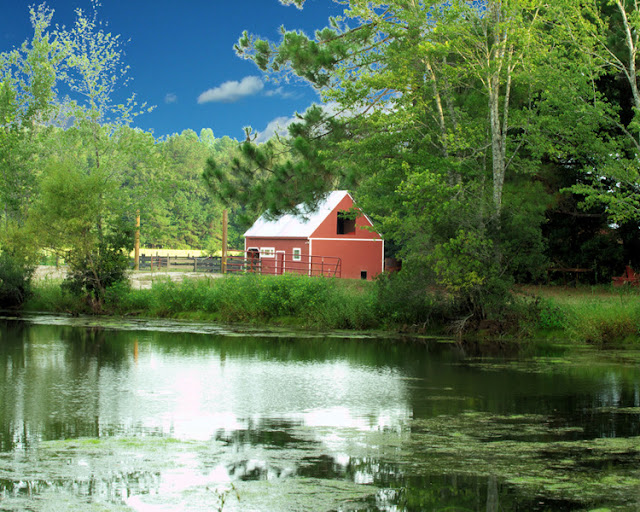 Fairy Farm