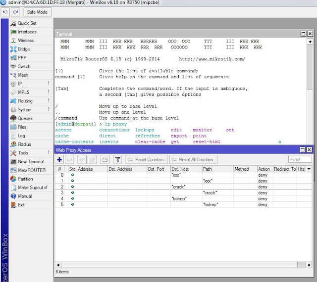 Web Proxy Access