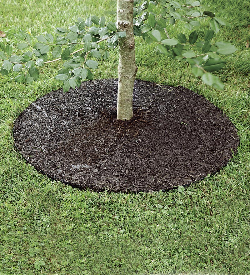 for mulch garden paper Galleries Arbor Ring Round  Tool Tree Edge  Plastic Arbor