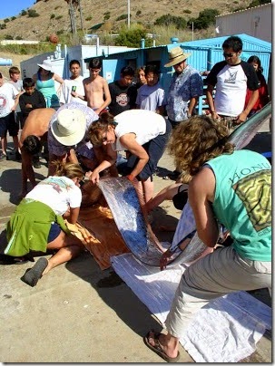 oarfish Ikan Mirip Naga Yang Hampir Punah (8)