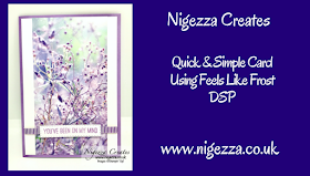 Nigezza Creates with Stampin Up Feels Like Frost 