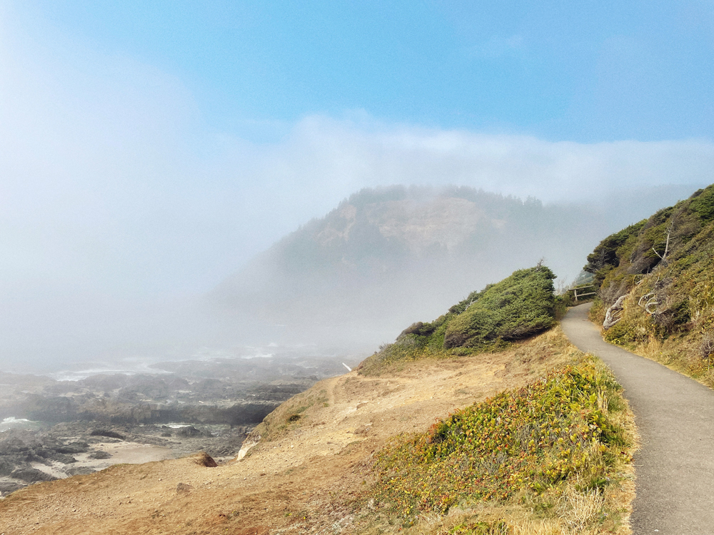 Photograph taken near the Heceta Head Lighthouse trails on the Oregon coast