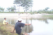 Memancing Gratis