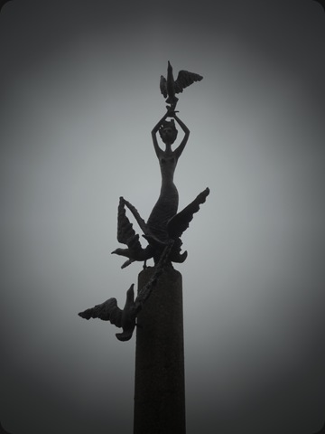 birds 054