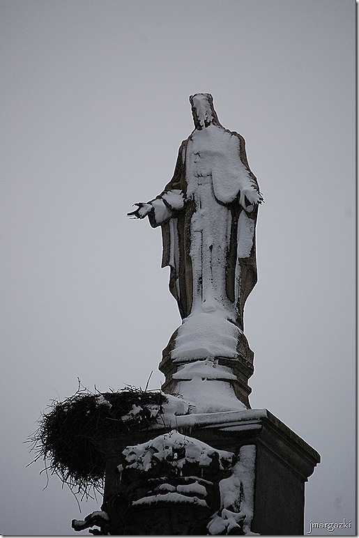 DSC_00620001