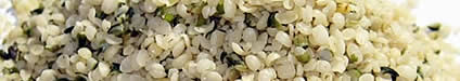 Hemp Seeds - The Top 10 Healthiest Seeds on Earth
