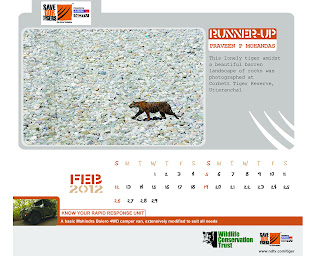 NDTV Save the Tiger Calendar