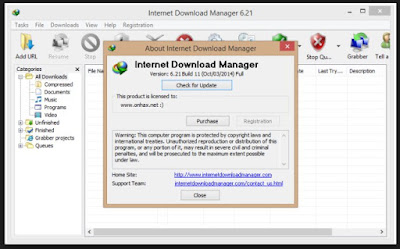 internet download manager