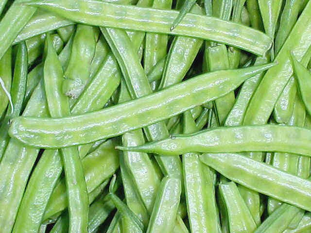 Cluster bean