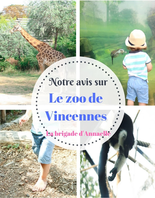 avis zoo de vincennes