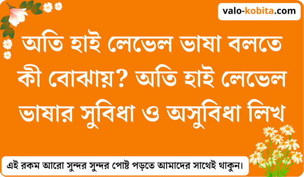 অতি হাই লেভেল ভাষা বলতে কী বোঝায়? অতি হাই লেভেল ভাষার সুবিধা ও অসুবিধা লিখ