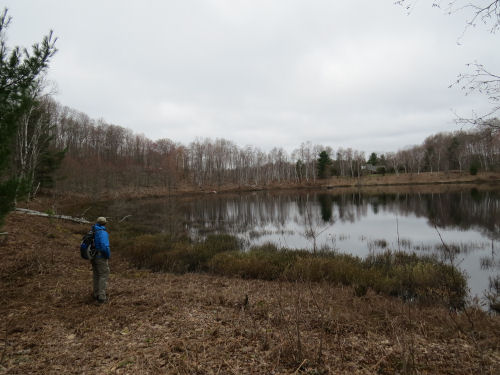 McNeal Pond