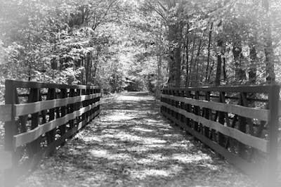 Wooden Bridge_7744 Framed Print