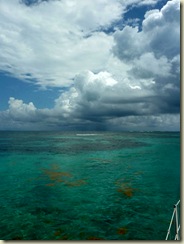 P1090351