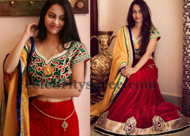 Hand Work Red Velvet Lehenga