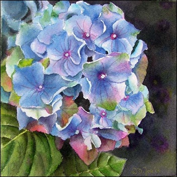 Hortensia       
